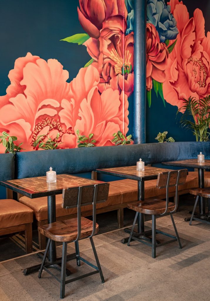 Kozy_Kasa_Austin_Neon_Kitten