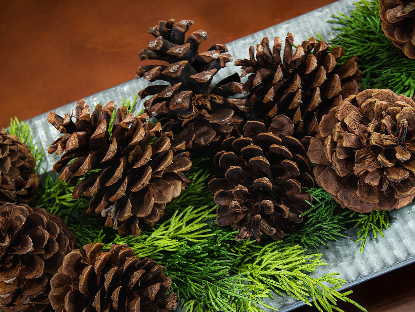 eco-friendly wrapping